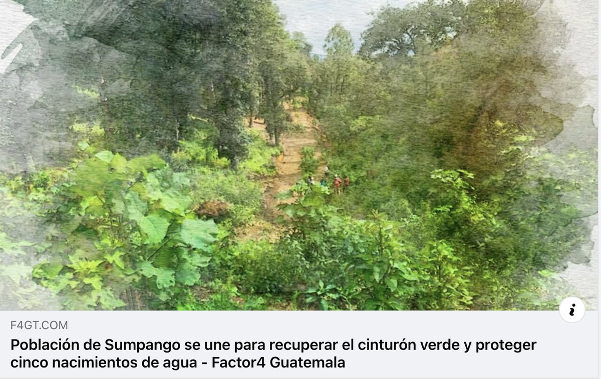 Factor4_GT's tweet photo. 🌲💧 Sumpango se moviliza para defender su principal pulmón natural

Comunidades, alcaldes auxiliares y autoridades locales denunciaron la invasión y tala ilegal en más de tres caballerías del cinturón verde del Astillero Municipal de #Sumpango, una zona que abastece de agua a unas 55 mil personas en la región central de Guatemala.

La preocupación crece por el riesgo que enfrentan cinco nacimientos de agua y varios pozos, mientras vecinas y vecinos impulsan una recolección de firmas y acciones legales para recuperar el área protegida.

👉 ¿Qué grupos son señalados? ¿Qué hallaron las autoridades durante la inspección? ¿Por qué temen estafas con la venta de terrenos municipales?

Lee la nota completa en Factor 4: https://t.co/GgE6WksG0k