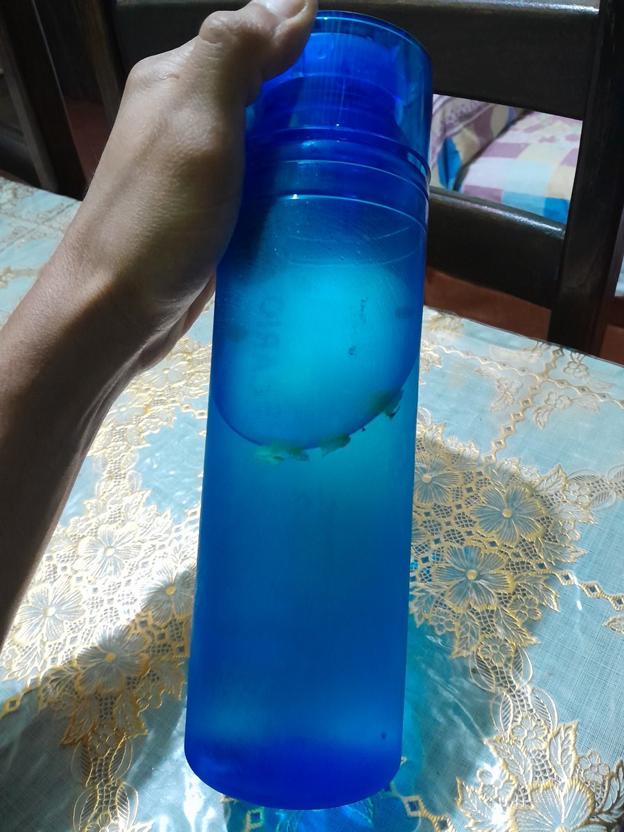 __Samuel6's tweet photo. ¿Es por mi agüita con limón y hierbabuena? https://t.co/axbSchxHxp