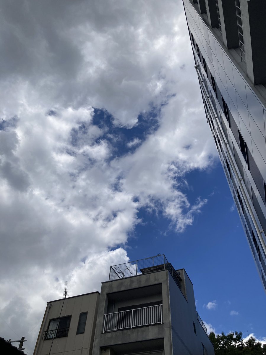 sum_m_wing's tweet photo. 自虐史観に染められているとか、そんなんじゃないんだ。81年前、沢山の尊い命が失われた国に暮らす我々の「人として」が手を合わせる理由だよ。戦争を知らない世代だからこそね https://t.co/4qWmMOZd9Y