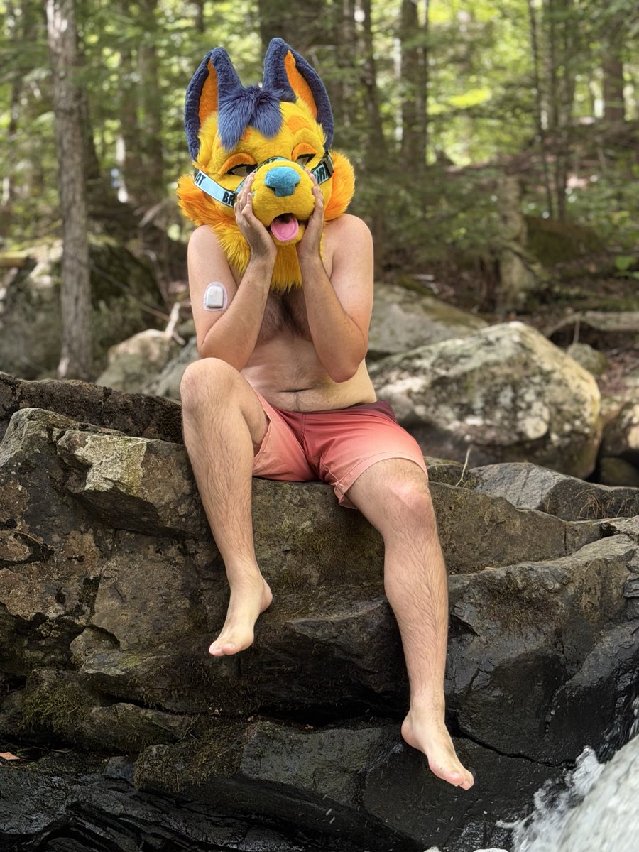 ChessieHusky's tweet photo. chillin’ by the creek! :3
📸: @torquecroc
#furry #fursuit #creek https://t.co/dfjLe6hvp1