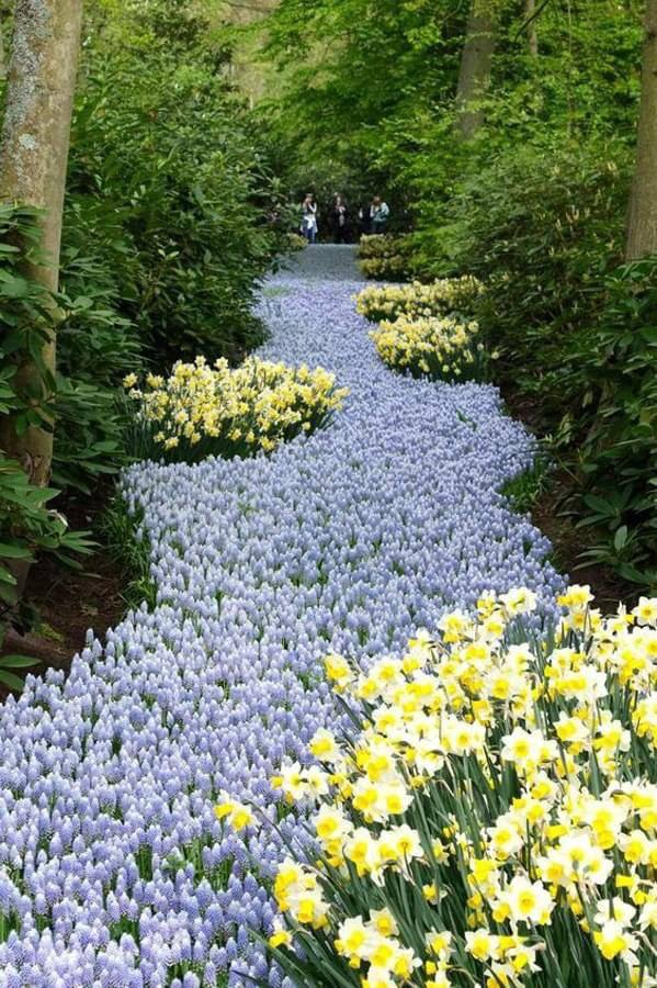 prettiestavenue's tweet photo. river of flowers https://t.co/Um7aON6Af2