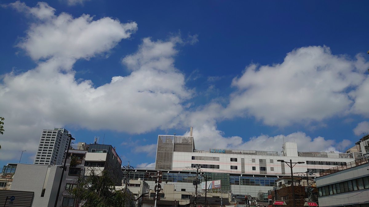 K_kit5un3's tweet photo. 蝉のコンサートとともに脱北 https://t.co/BNhB8z9yv6