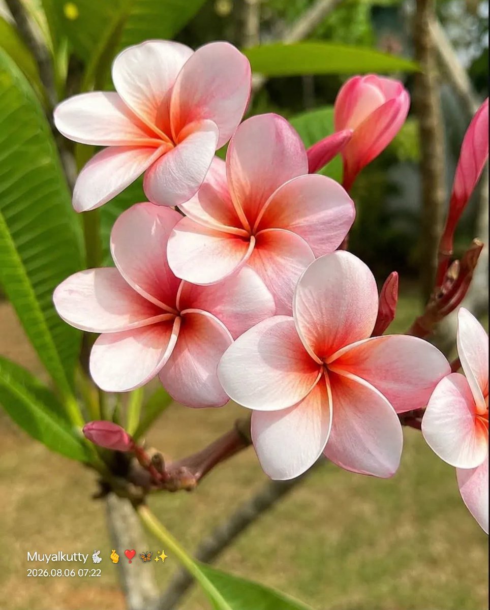 White_forestsg's tweet photo. சூரியனின் முதல் கதிராய்
உன் மனதில் நம்பிக்கை மலரட்டும்!
வெற்றி தொடங்கும்

இனிய காலை வணக்கம்! 🌅✨

முயல் குட்டி💞🐇 https://t.co/etpwUwHp7w