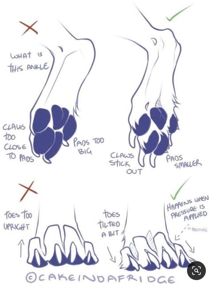 oldmanlux's tweet photo. Animal paws look way more natural when you think about weight and pressure. https://t.co/PoMQcwcTA1