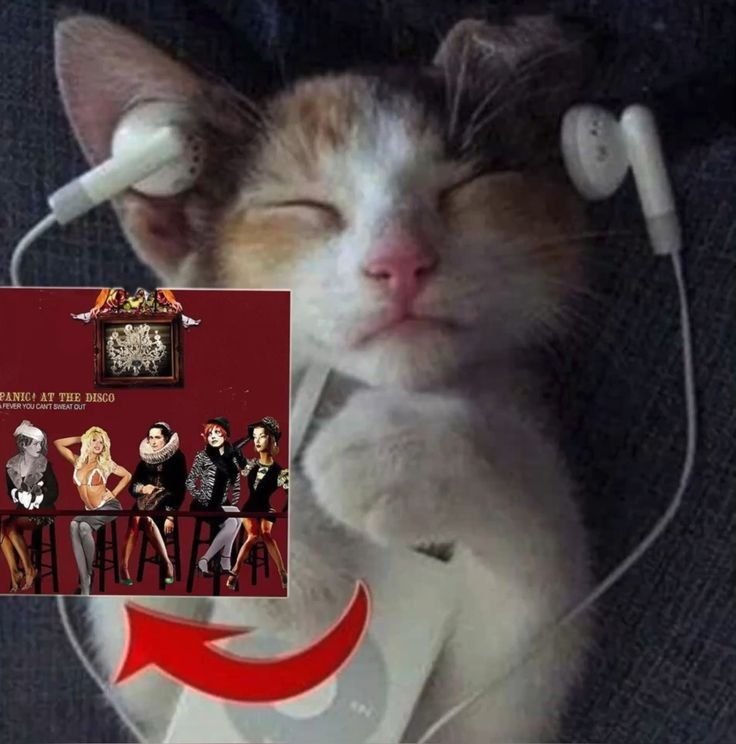 serpiatastic's tweet photo. 𝘋𝘢𝘺 2  ::   Busco Mutis
 
..      ㅤׁ  #promotwt  ㅤּㅤ⌑ꥉꥉㅤ

         ⸝⸝.ᐟ⋆  He/h𝗂ּm  —    21
ㅤ ㅤ ㅤ        esp — eng
  Dni: pedo, racist, minors, zoo. 

        ㅤ⤷ 🎧
 ㅤㅤwill wood, goodkid, mitski

      #anitwt &amp; #musictwt (?

        ♡ ノ ↺ mutis https://t.co/Ey6P6DmJSK