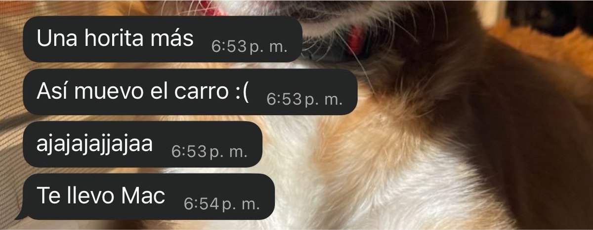 dayreenmelissa's tweet photo. Si un día mi novio dice que “se manda solo” o que “no tiene que pedir permiso” muéstrenle este chat 😎 https://t.co/JN7PPR3Hu0