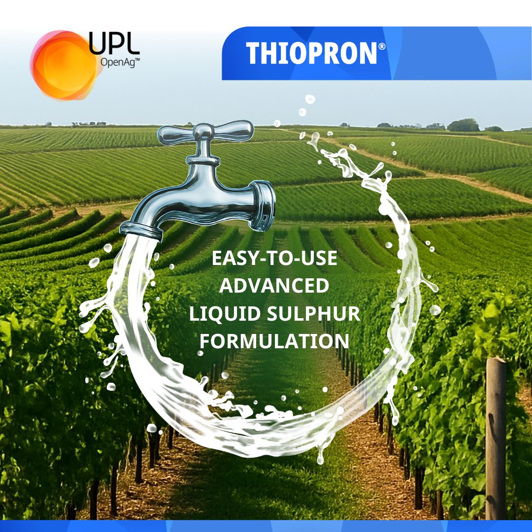 UPLAUSLtd's tweet photo. 🤔 Planning your #PowderyMildew program this season?
Here's why growers choose #Thiopron® 👇
🍇 Fine 1.2 micron sulphur particles
🍇 Improved coverage
🍇 Strong rainfastness once dry
🍇 Improved persistence
Stock up for success.
#UPLLtd #OpenAg https://t.co/hUKX0mvM1v