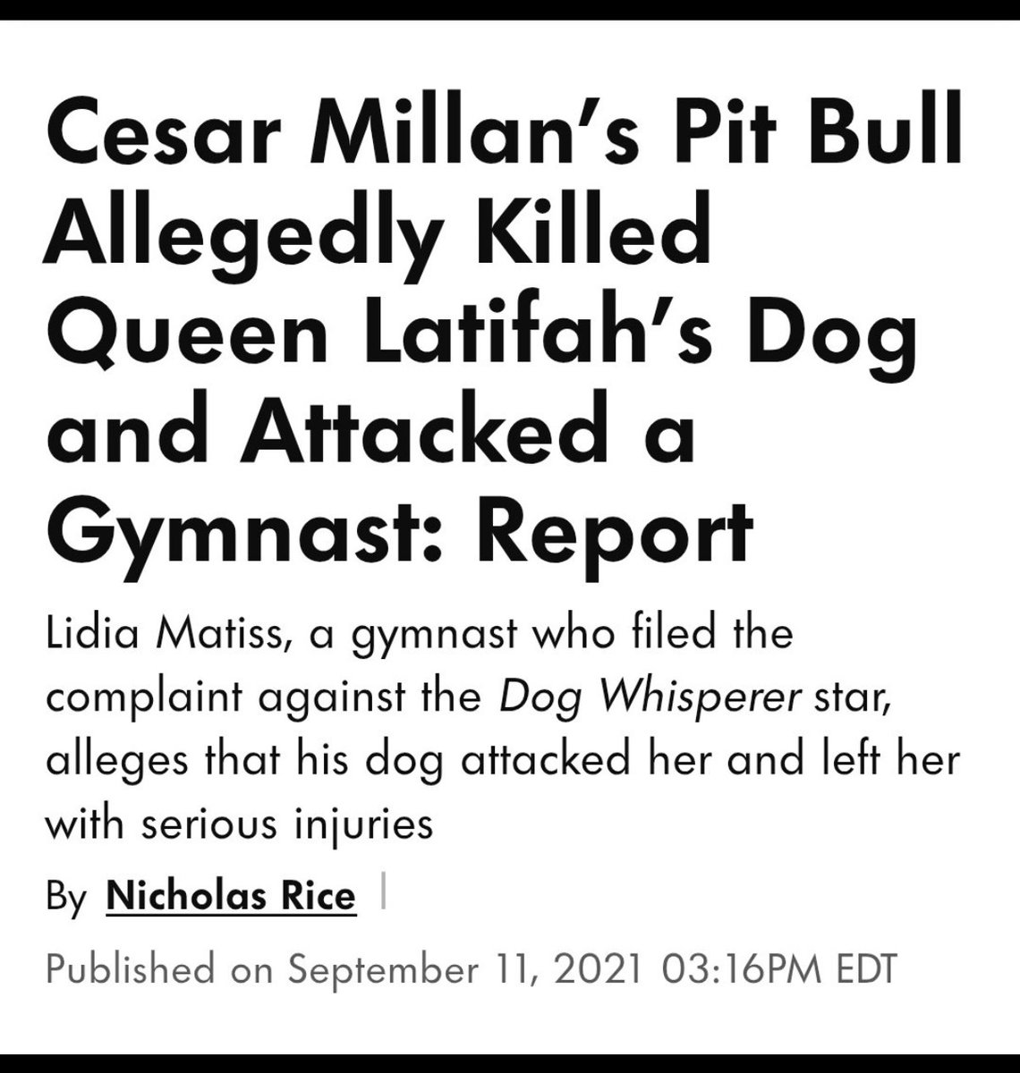 nicolemeads's tweet photo. @mattborzillo Thank you for being a good owner, because pitbull owners are half of the pitbull problem. However, unfortunately these dogs are monsters no matter the owner and will snap no matter how great they were raised and trained. https://t.co/n0ZvT6mhCl