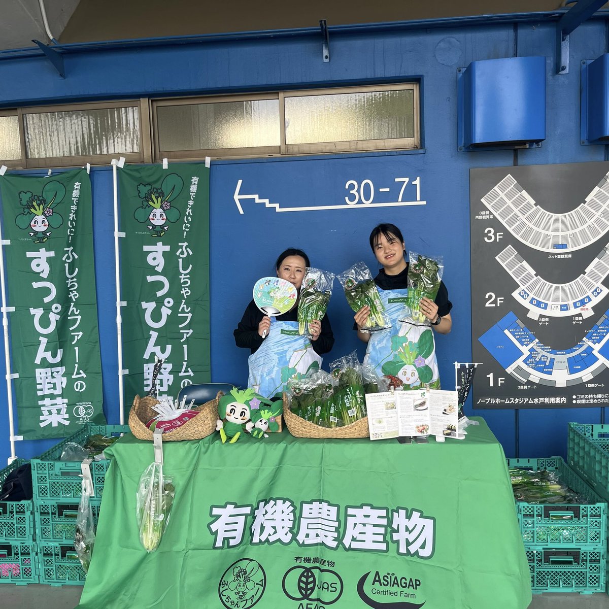 fusichanfarm's tweet photo. 先週末に水戸市で開催された
第22回ノーブルホームカップ
決勝トーナメント会場で
すっぴん小松菜を無料配布したなの

沢山の少年野球ファミリーが
持って帰ってくれて嬉しかったなの

美味しいお料理を作ってもらって
エネルギーチャージできたかな？

まだまだ夏は続くけど練習を頑張ってほしいなの https://t.co/Rrspn5Tyoj