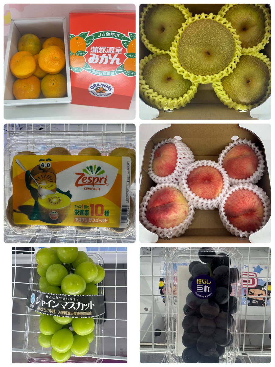 ngt_youtopia's tweet photo. 【本日のフルーツ入荷情報❣️】

新潟県産桃🍑1箱
山梨県産梨🍐1箱
新潟県産巨峰🍇1パック
新潟県産シャインマスカット🍇1パック
ニュージーランド産ゴールドキウイ🥝1パック
愛知県産ハウスみかん🍊1箱

稼働致しました❣️

 #おたちゅう新潟黒埼店入荷情報 https://t.co/gQPWUx54bM