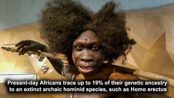 Dkdkdktgz's tweet photo. @Mericamemed they are dumb as fuck, fym you don't have any animal DNA? they always have stupid beliefs, where do they get these from????
https://t.co/jTrybMKRXR https://t.co/xu6oc0WB3N