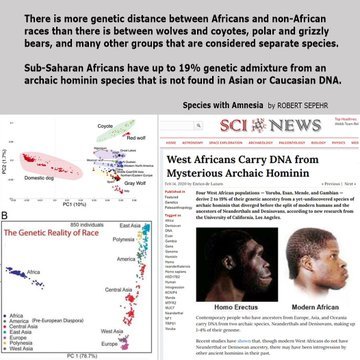 Dkdkdktgz's tweet photo. @Mericamemed they are dumb as fuck, fym you don't have any animal DNA? they always have stupid beliefs, where do they get these from????
https://t.co/jTrybMKRXR https://t.co/xu6oc0WB3N