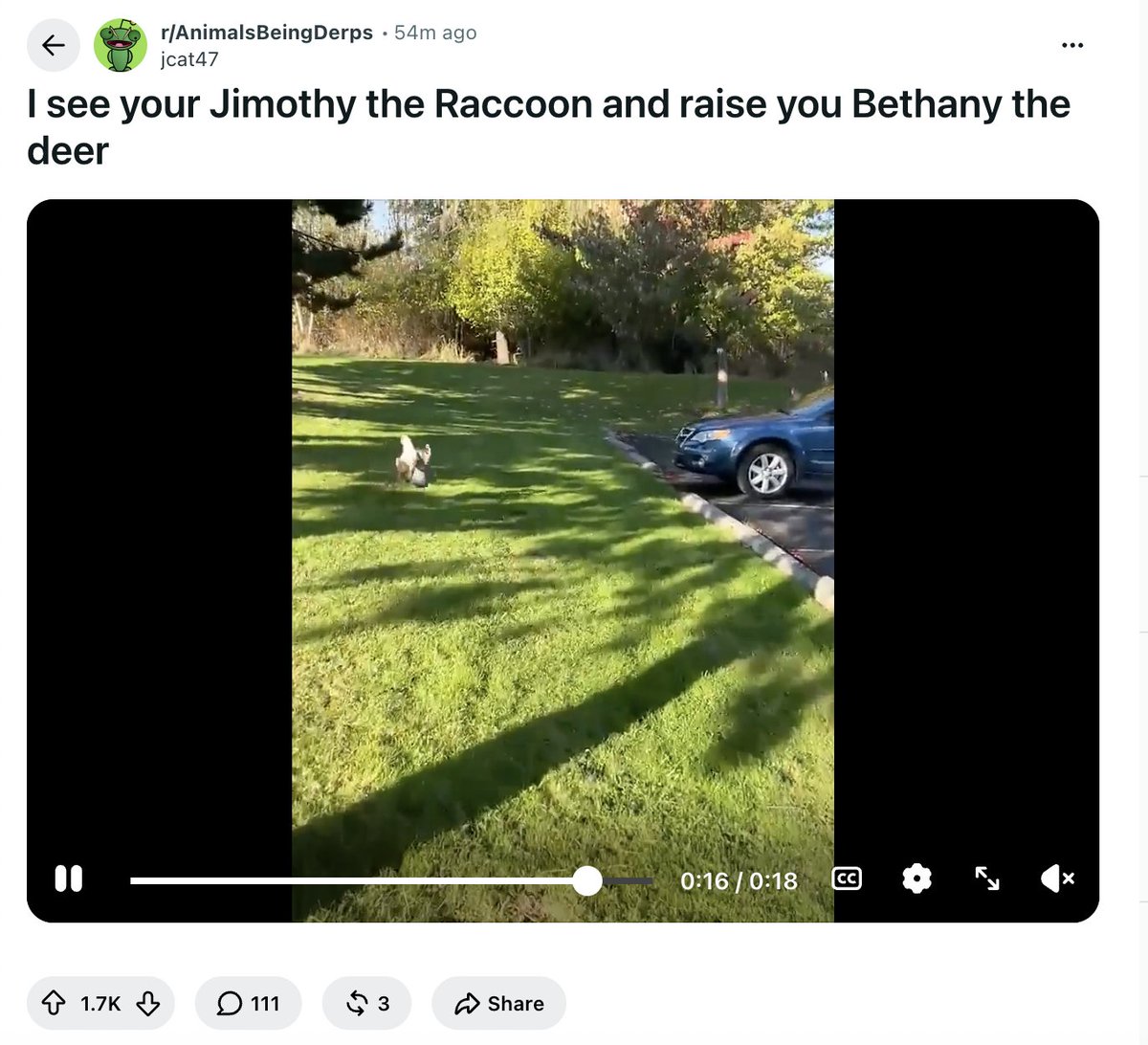 GigaNiggaWagmi's tweet photo. $Bambithy went 55k using just a random name in the replies, but everyone agreed on a name going giga viral with 2k upvotes in less than an hour

$Bethany

Bo45hDbHG6PUi3jXH3dKrkwntcgRSNgUbfZDr3H3pump

https://t.co/tY6YMUaxt4 https://t.co/0RrEvMTq6z