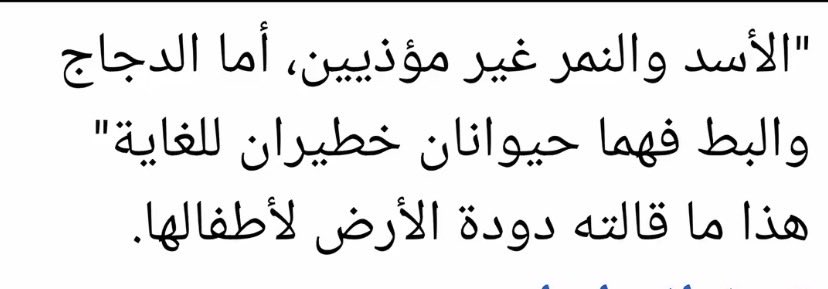 stor1yy's tweet photo. https://t.co/CyQnFmjxdv