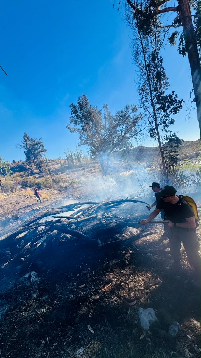 CarabArica's tweet photo. 🚔 #Putre | Carabineros del Retén Chapiquiña detuvo a una persona por su presunta responsabilidad en un incendio originado durante una quema de basura realizada sin las medidas de seguridad ni la autorización correspondiente.
👮♂️ Desde la primera respuesta, Carabineros colaboró activamente en las labores de contención y extinción del fuego, trabajando junto a Bomberos para controlar la emergencia.
🚨 El incendio afectó aproximadamente 2,5 hectáreas de pastizales y un corral. El procedimiento fue informado al Ministerio Público.