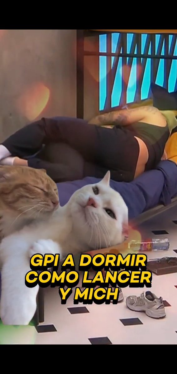 odaliscaroquera's tweet photo. Esa #Pierna no es de #Michito, #Mich #Michelle si la #Chica está #Demasiada #Delgada mmmmm si es #Michelle la que #Esta con el #Turbio #Lancer Vea, #PublicoInteligente https://t.co/1vf7eHHJ9Z
