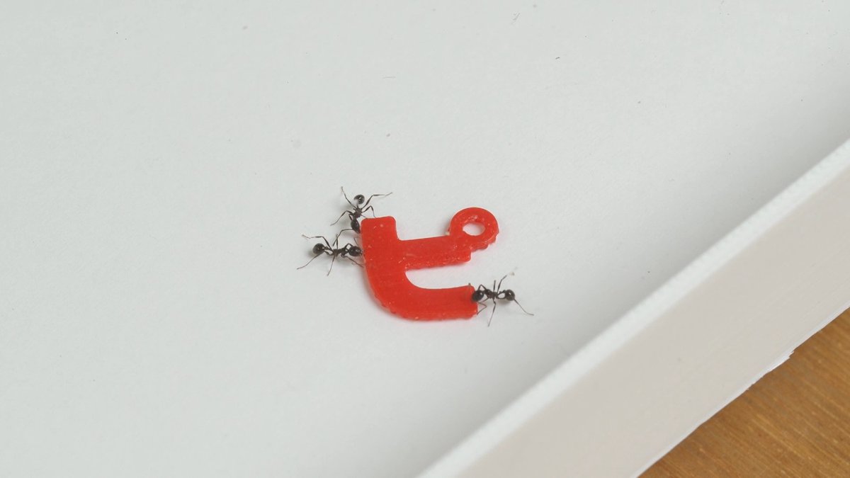 euphrates_jp's tweet photo. ピタゴラの新しい特番『ピタゴラスイッチ6』が放送されます！　「まぶた とじたろう」に、なぜか新幹線の座席？　そしてアリが「ピ」をはこぶ…？　プログラミング的思考を楽しく学ぶ20分、8月10日(月) 午前9:00から。Eテレです。
NHK ONE配信はこちら↓
https://t.co/DXzi75Rvee https://t.co/d72M4f9S4y