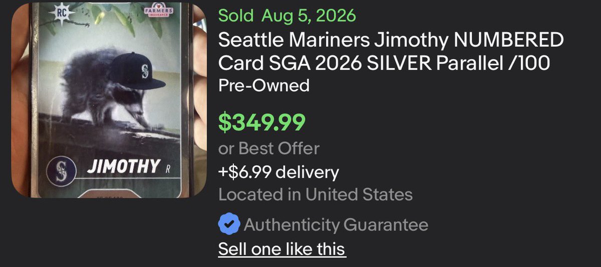 certifiedcards's tweet photo. Jimothy (the raccoon’s) Rookie Card /100 is currently selling for more than most Julio Rodriguez Rookie Autos https://t.co/5PIhkxbe4T