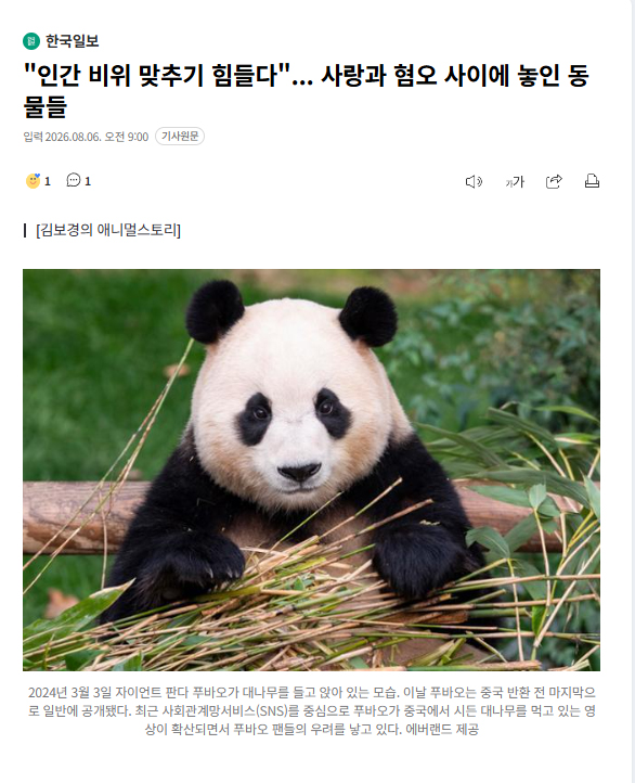 animalbook4's tweet photo. 푸바오는 인간에게 인사하는 이상 행동을 하고
새를 찍는 유투버는 길고양이 살처분을 말한다 
혐오는 무지에서 온다

2008년 서울시는 고양이 살처분했다가 쥐가 들끓어 쥐잡기운동을 했다
죽였다가 잡아서 수술시켜 방사하고…인간 비위 맞추기 힘들다
https://t.co/dCYM2jd4oO https://t.co/uXs4Sns6Cb