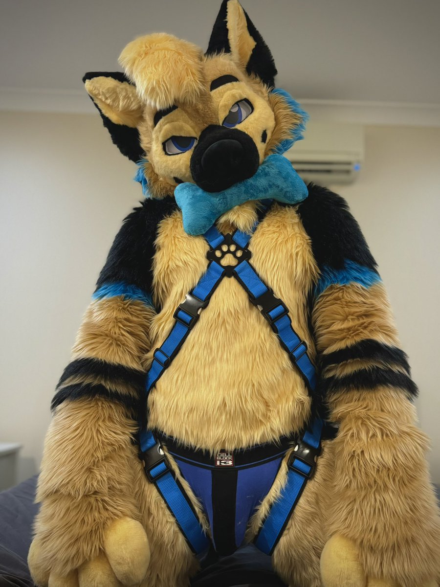 ranger_shep's tweet photo. Celebrating #NationalUnderwearDay with a throwback to the best undie pic ever created. https://t.co/xZM4be1Rce