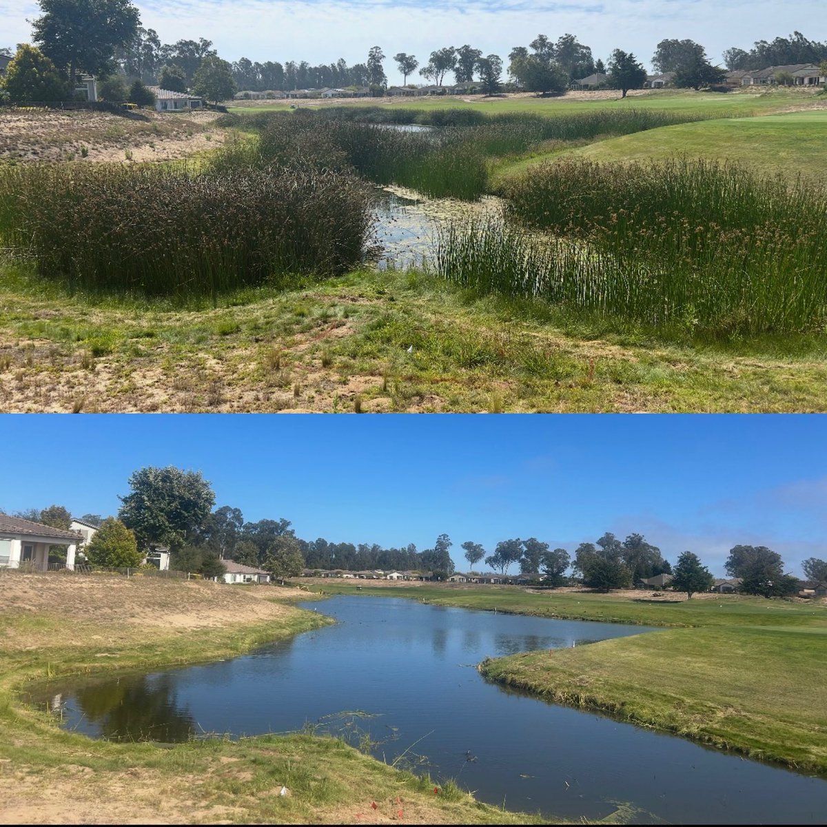 Vpaquaticweedc1's tweet photo. WOW!
Golf Course Lake Bulrush Removal.
Before and after!
Keep your water features looking great and enhance your player’s experience.
Serving California, Arizona and Nevada.
No hassle estimates!
#GoodbyeCattails
#GolfCourseLakes
#KeepitClean https://t.co/vQAOSHvGaR