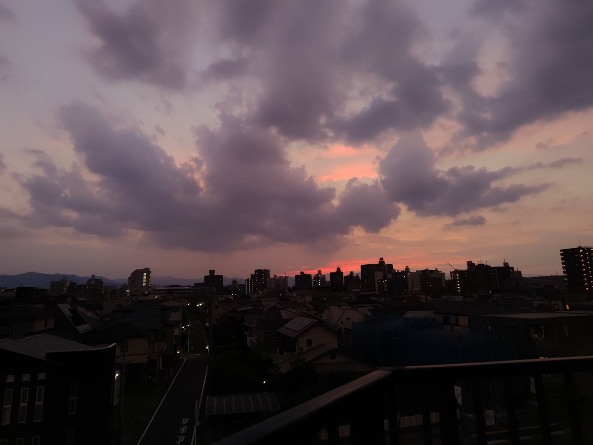 pine_bell tweet picture