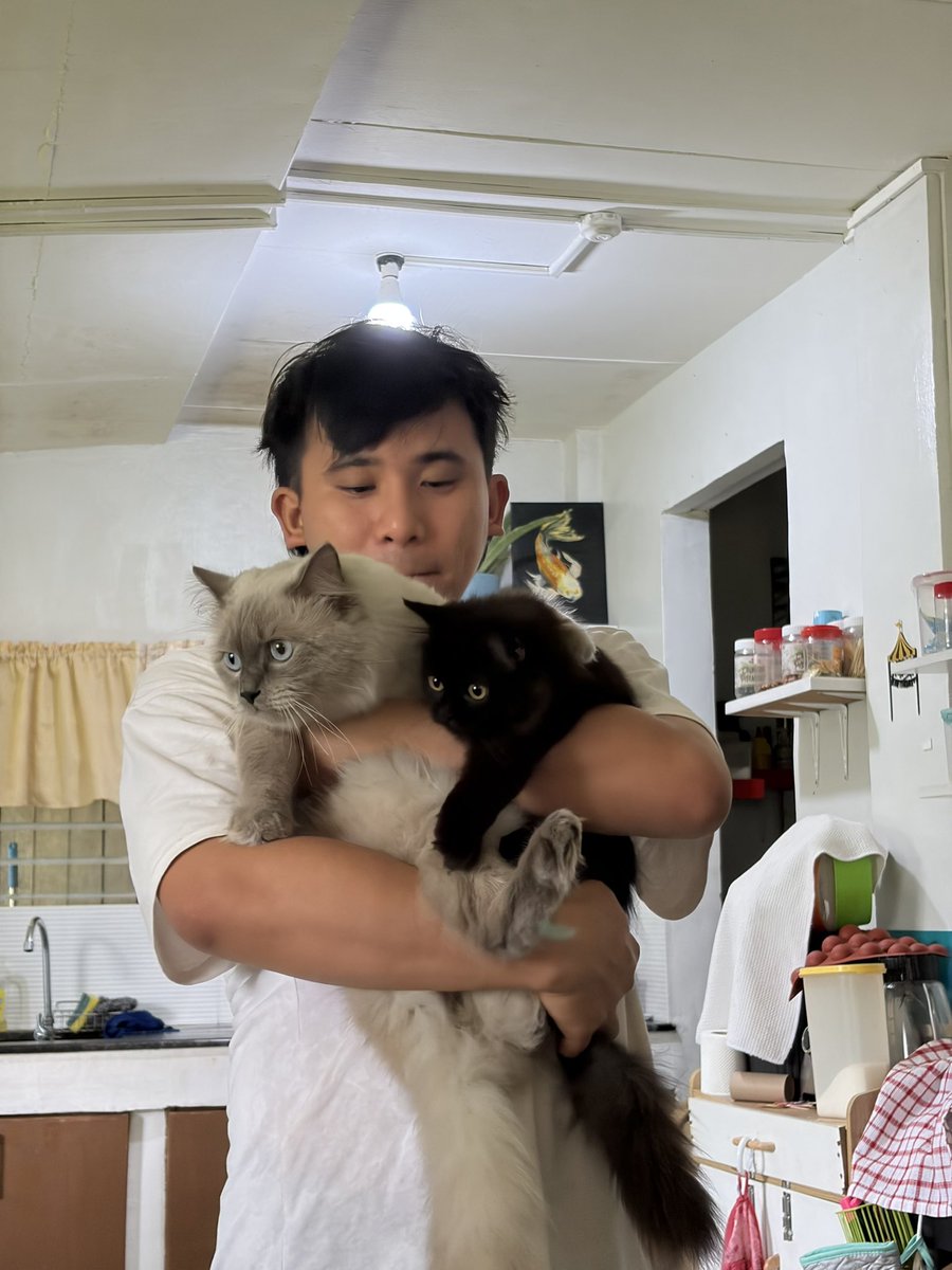 yan_005's tweet photo. Soda&amp; Powder! 🖤🤍😽 https://t.co/OD02HpbHXA