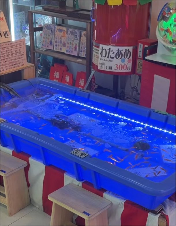moriageboys's tweet photo. お台場になるレトロな縁日やお化け屋敷の
ある商店街にうなぎ親子が行っております

うなぎの愛娘りんちゃんが楽しく
夏休みの思い出を作っております

【台場一丁目商店街】夏休みにオススメ！屋内型アミューズメント商店街 https://t.co/uZFkhOAMZH @YouTubeより https://t.co/ynSmbepH7r