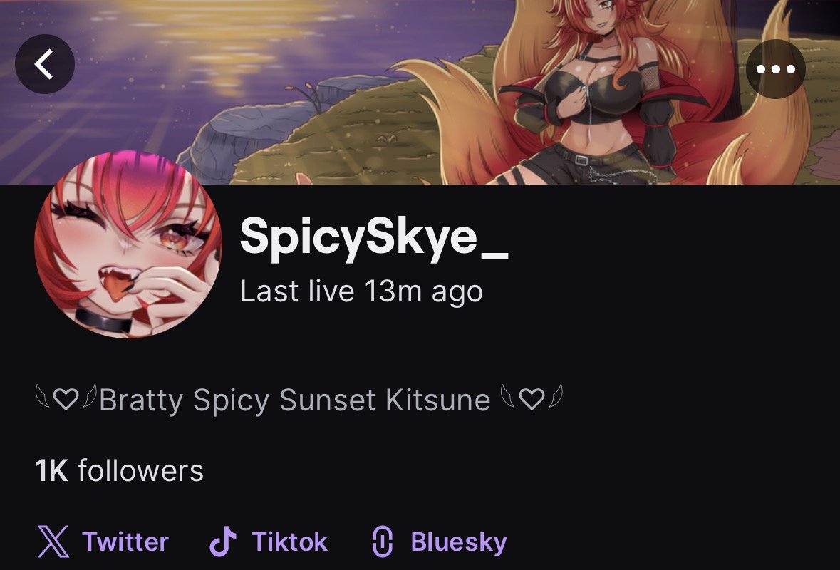 SpicySkye__'s tweet photo. WE ACTUALLY HIT 1K FOLLOWERS!!! 😭

I am completely losing my mind right now! Thank you all so much for your incredible support! I'm so excited and I honestly couldn't have done it without every single one of you cuties!!! https://t.co/qma4UevM7X