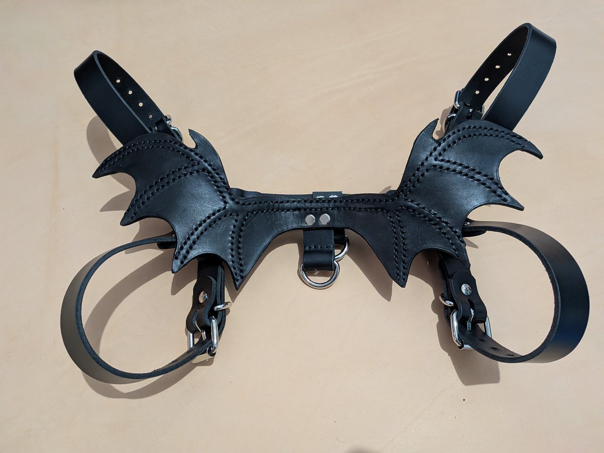 HOUNDTHING's tweet photo. this one absolutely got away from me but it's finished!! the wings are posable hehe https://t.co/Gfhkh0qRol