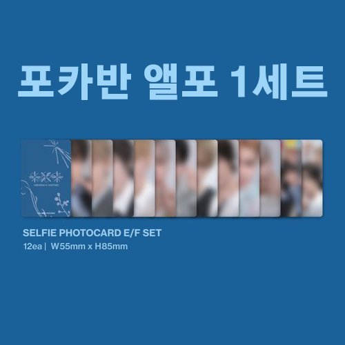 sellacc02's tweet photo. 투바투 일본 앨범 세츠나하나비 포카 양도

위버스재팬 럭드 1세트 7.0 
위버스재팬 예판특전(야광 포카) 1세트 3.4
포카반 앨포 1세트(12장) 2.6
솔로반 앨포 1세트(20장) 4.2

해배비 포함 국배비 별도 

연준 수빈 범규 태현 휴닝카이 setsuna hanabi japan txt 세츠나 하나비 https://t.co/Mrd6pint2r