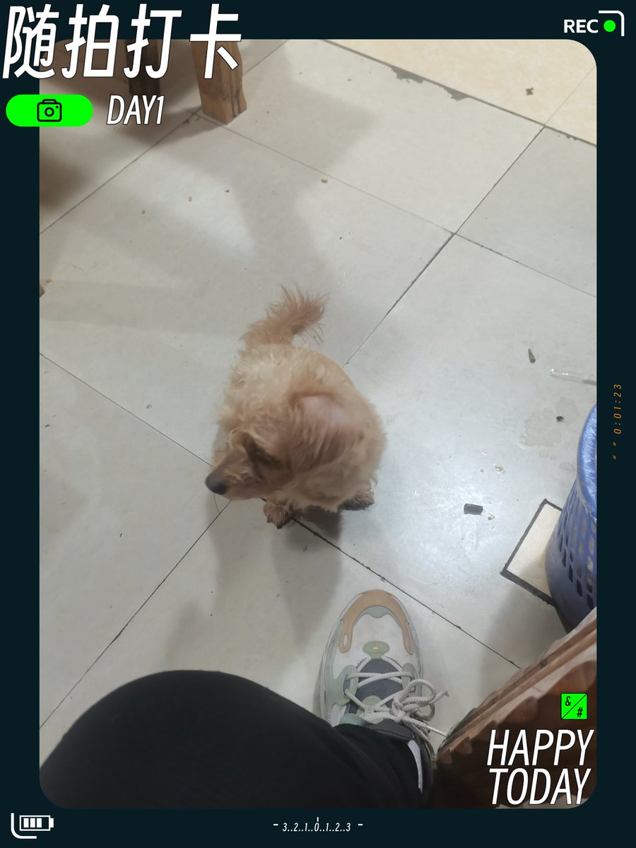 qC30kd7C2l4gKVP's tweet photo. 异地也能共享晚风，今天和你碰杯同款奶茶，想念会顺着信号飘到你那边， https://t.co/4ucxRtOV1h