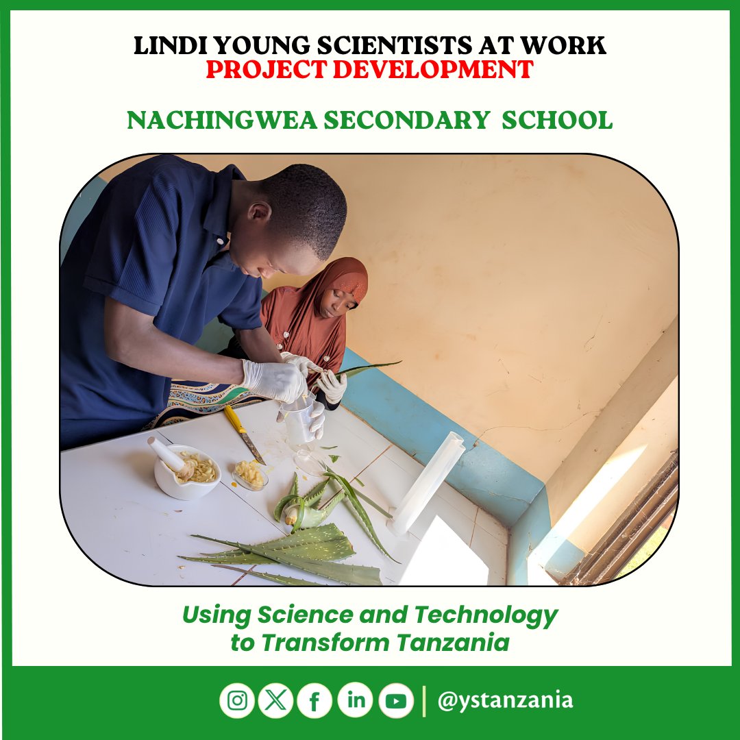 ystanzania's tweet photo. Young innovators Naifat Mussa Mbinga and Vitalis Majuto Vitalis of Nachingwea Secondary School are investigating a local herbal remedy using aloe vera, garlic, and red pepper to help control poultry diseases. #ScienceForDevelopment #STEM #Innovation https://t.co/7ppYjwqw75