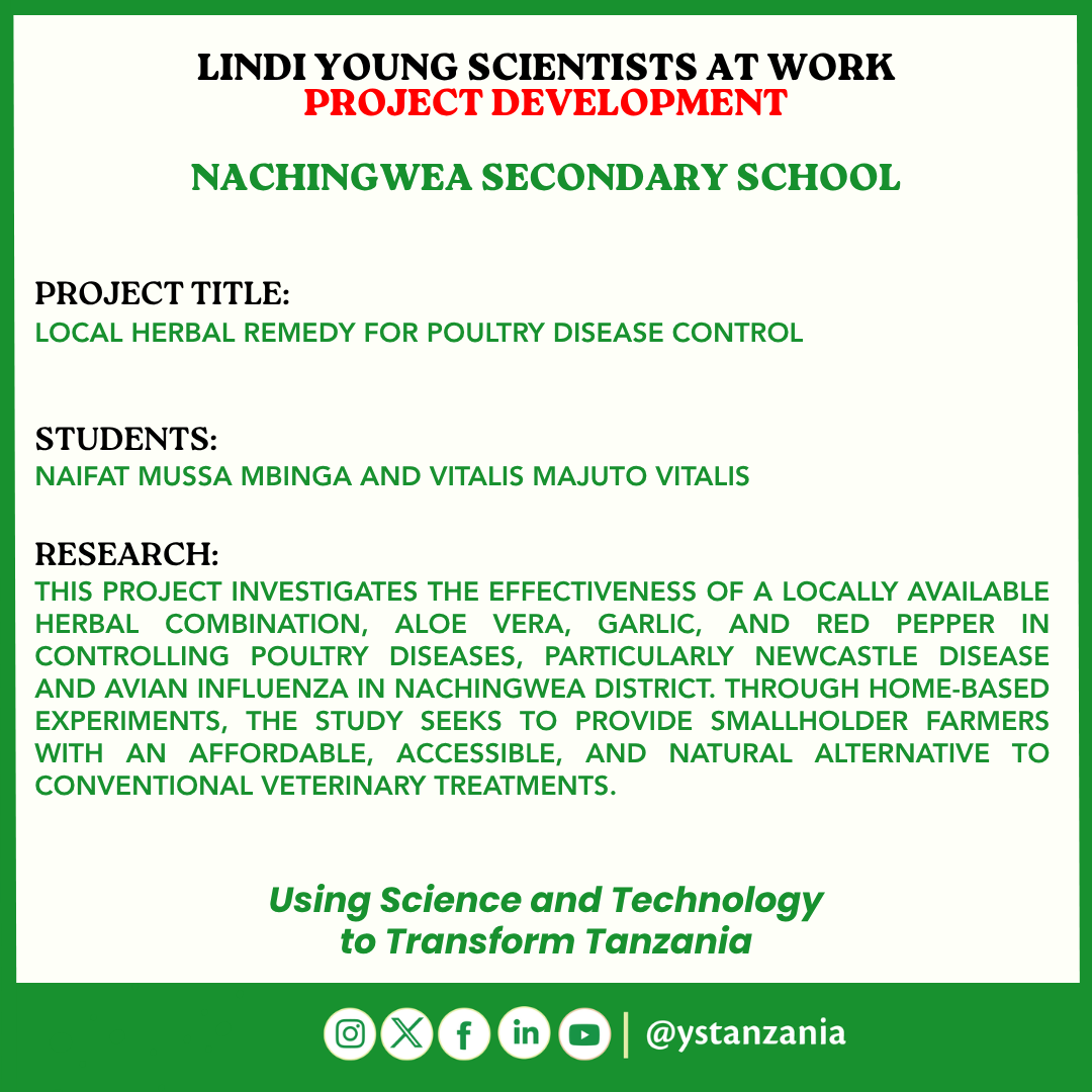 ystanzania's tweet photo. Young innovators Naifat Mussa Mbinga and Vitalis Majuto Vitalis of Nachingwea Secondary School are investigating a local herbal remedy using aloe vera, garlic, and red pepper to help control poultry diseases. #ScienceForDevelopment #STEM #Innovation https://t.co/7ppYjwqw75