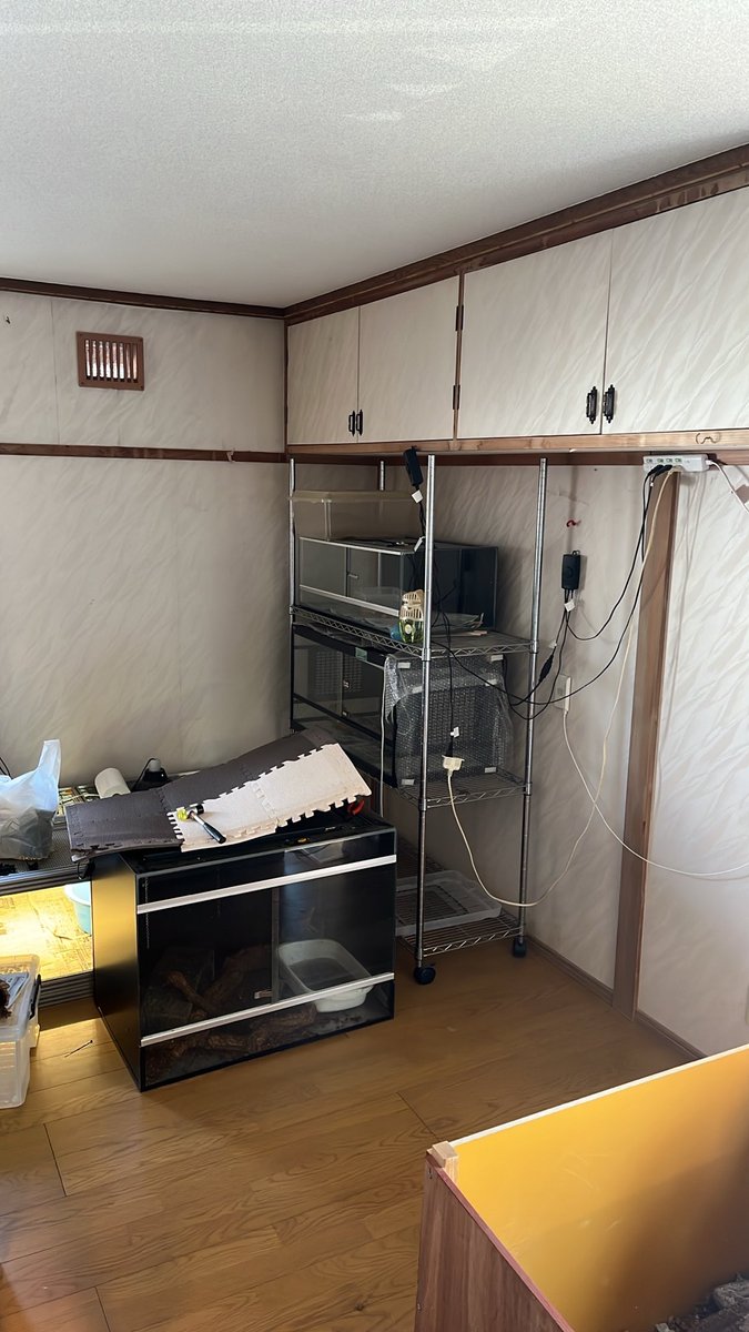 7Wszd9235's tweet photo. 爬虫類部屋改造中 https://t.co/ie248F4f4t