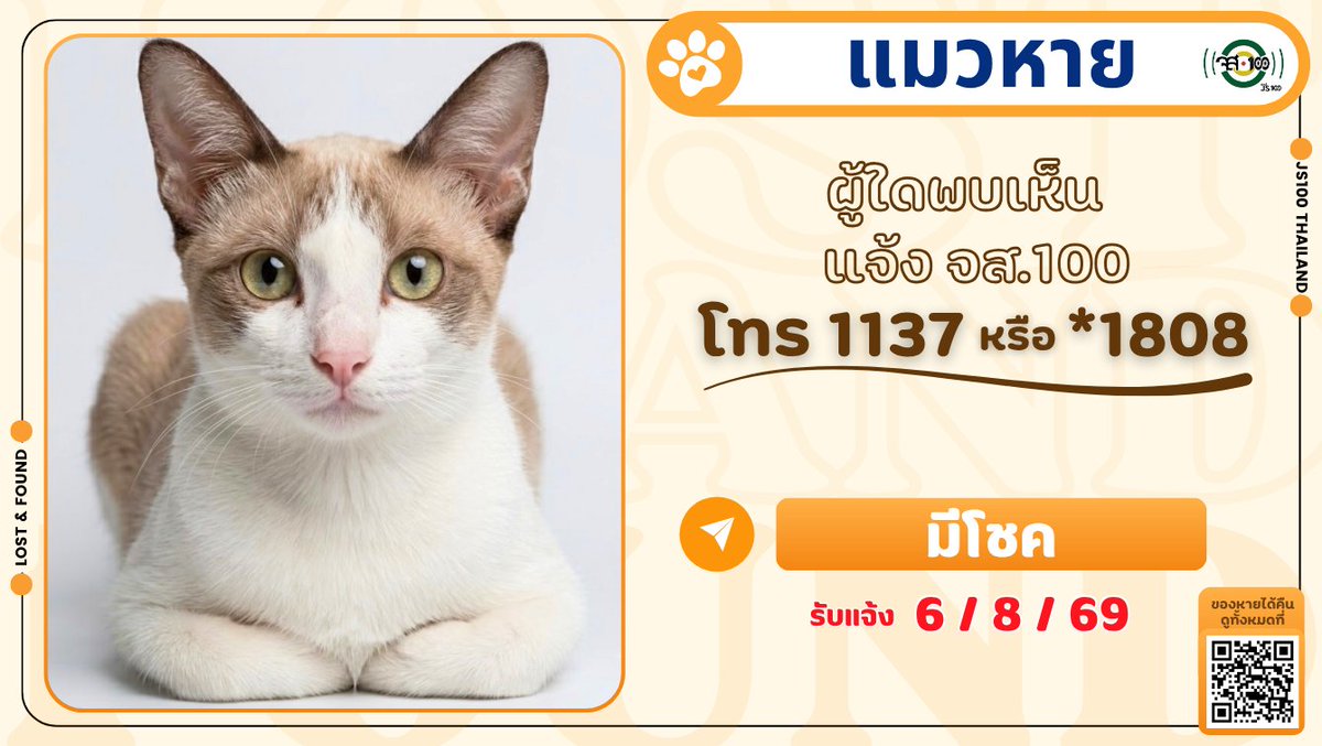 js100radio's tweet photo. แมวหายจากหมู่บ้านเมืองทองธานีโครงการ 4 อ.ปากเกร็ด จ.นนทบุรี ผู้ใดพบเห็นแจ้ง JS100 โทร *1808 หรือ 1137

รายละเอียดเพิ่มเติม : https://t.co/ceyOg20AtP

#แมวหาย #ตามหาแมวหาย #JS100 https://t.co/uhiEdoCBKv