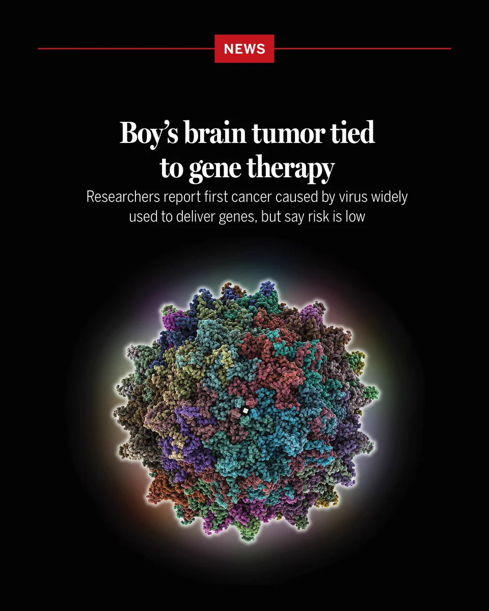 Boy’s brain tumor tied to gene therapy
Researchers report first cancer caused by virus widely used to deliver genes, but say risk is low