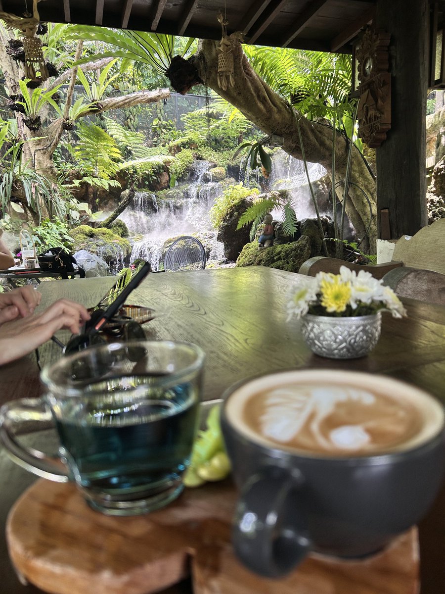 CMNoPlanCrew's tweet photo. 这地方是把整条瀑布搬进咖啡馆了吗 🌊☕️ 拿铁配水帘洞，谁能不心动 #清迈日常 #瀑布咖啡馆 #水帘洞同款 #拍照都要抢镜
Pretty sure this café stole a whole waterfall for the view 🌊☕️ Latte with a side of water curtain, no notes #ChiangMaiLife #WaterfallCafe #NatureFlex #CoffeeWithAView https://t.co/Bxj25a6fna