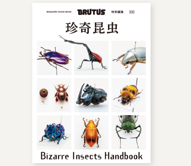 sainomimy's tweet photo. 「BRUTUS特別編集 合本 珍奇昆虫」の紹介記事にある挿絵に思わず目が止まった。立派な角が１本で顔の風貌もまるで #インドサイ！
南米のエンシフェルオオニジダイコというフンコロガシの仲間で大きさは約５cm。メスにも角があるのもサイと同じ！虫は苦手だが I like it ! https://t.co/ZuJawraUg5