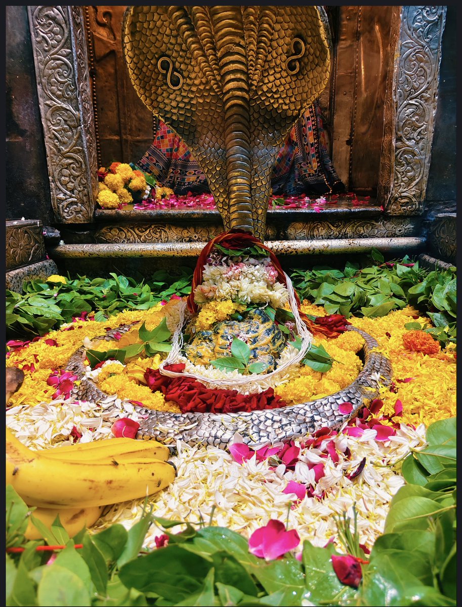 12Jyotirling's tweet photo. श्री ॐकारेश्वर ज्योतिर्लिंग मंगला आरती श्रृंगार | 06.08.2026

Shri Omkareshwar Jyotirlinga Mangala Aarti Shringar | 06.08.2026 https://t.co/tvygJIeOBG