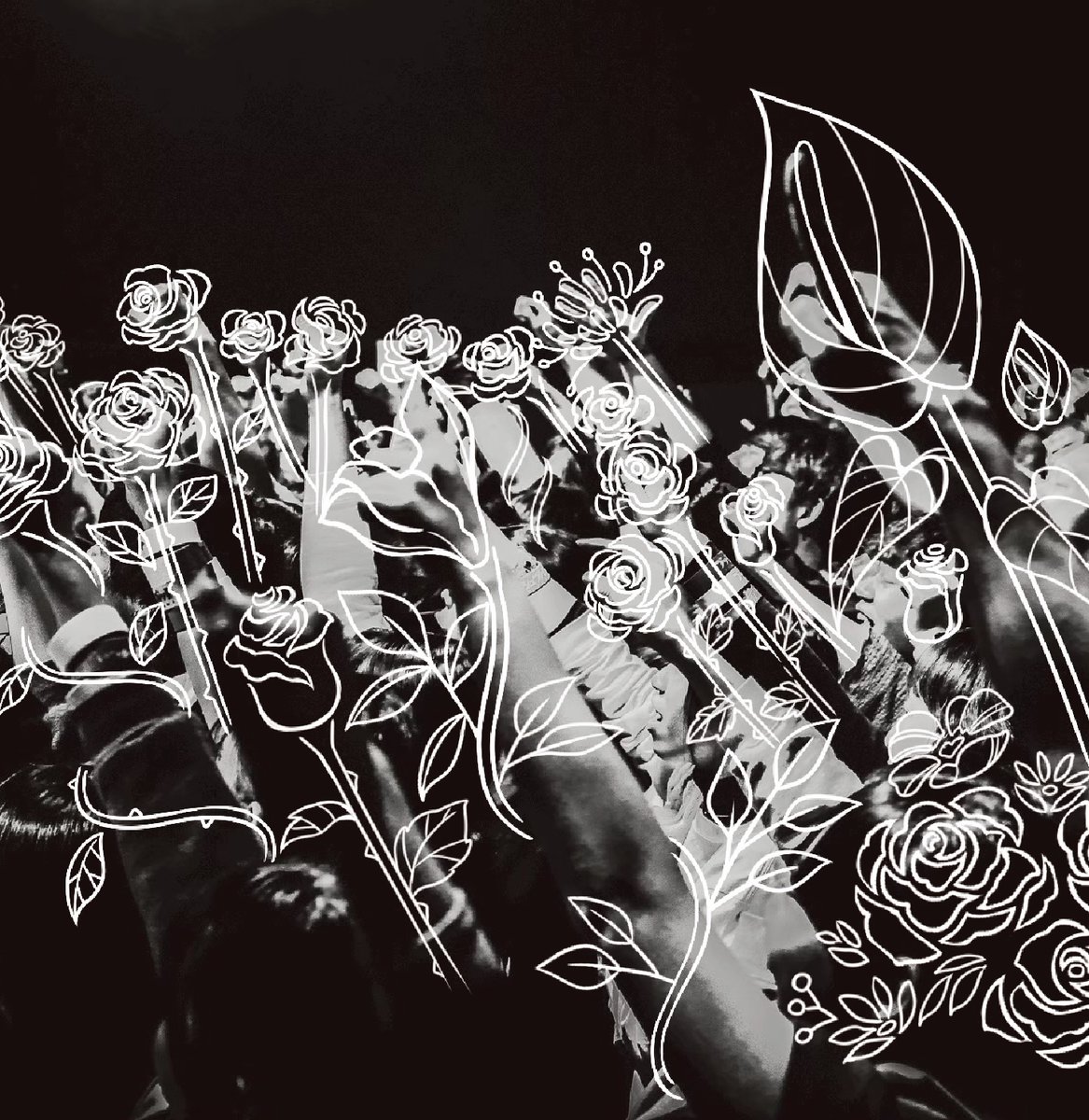 pushpullpot's tweet photo. 【アルバム情報解禁】

#プッシュプルポット 
5th mini album 「願いの花束」

／

ジャケット&amp;収録曲 解禁！

＼

早期予約特典
"直筆サイン入りポストカード"

受付は8/9(日)23:59迄
https://t.co/cUF5QMC7wD https://t.co/Ghw1j4rrYh