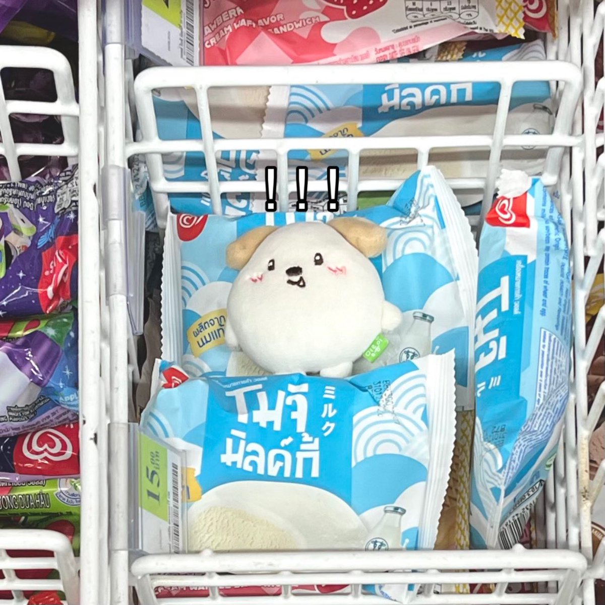 winterindexx's tweet photo. วอดส์ https://t.co/MI053g5sKC