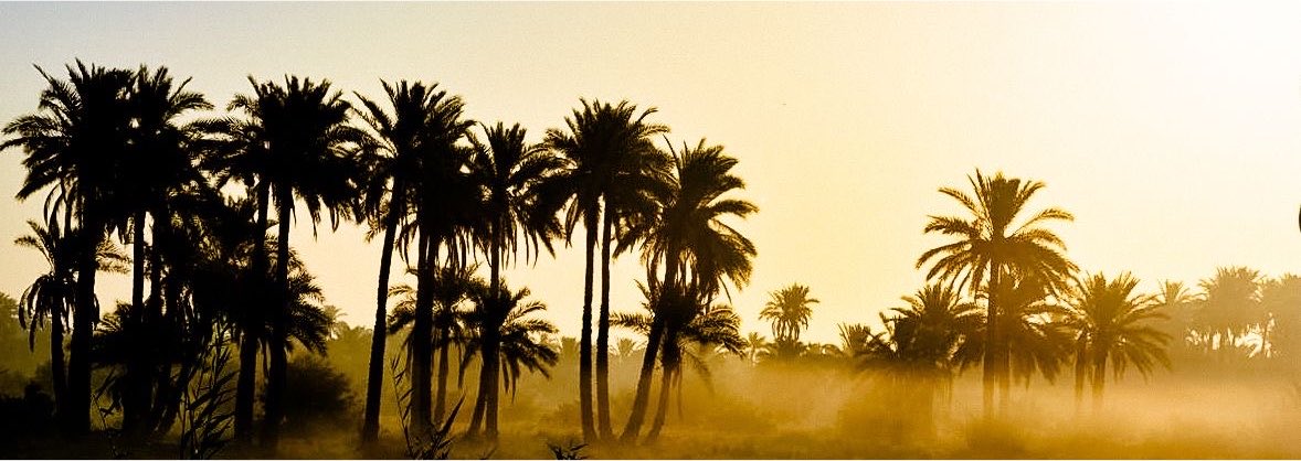 v80r_1's tweet photo. صباح الخير ، اما بعد :

لولا هقوةٍ تـشرق علي كل مطلع نـور
ما حققت من غايات عمري ولا غايه https://t.co/2PWjk0Fmr1
