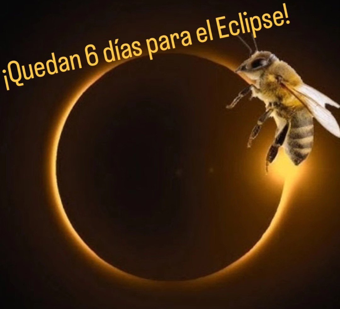 S_Abella's tweet photo. Para conocer los cambios de comportamiento de las abejas durante el eclipse se va a grabar lo que sucede en un colmenar de Salmerón (Guadalajara ). La acción se integra en el proyecto TriEclipse, impulsado por Udena que para analizar las reacciones de los animales en el eclipse https://t.co/0gCAJNH3CF