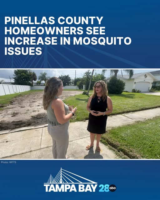 224JudyWilliams's tweet photo. After two cases of dengue fever were confirmed in Hillsborough County, homeowners in Pinellas are raising concerns to Tampa Bay 28's Casey Albritton about mosquito breeding grounds in their own neighborhoods https://t.co/qnyAYmoDgU