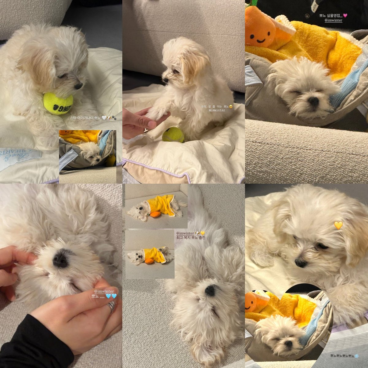 winterbearjm's tweet photo. คิดถึงหลาน ขอเติมม๋าหน่อย https://t.co/si59Owju1v