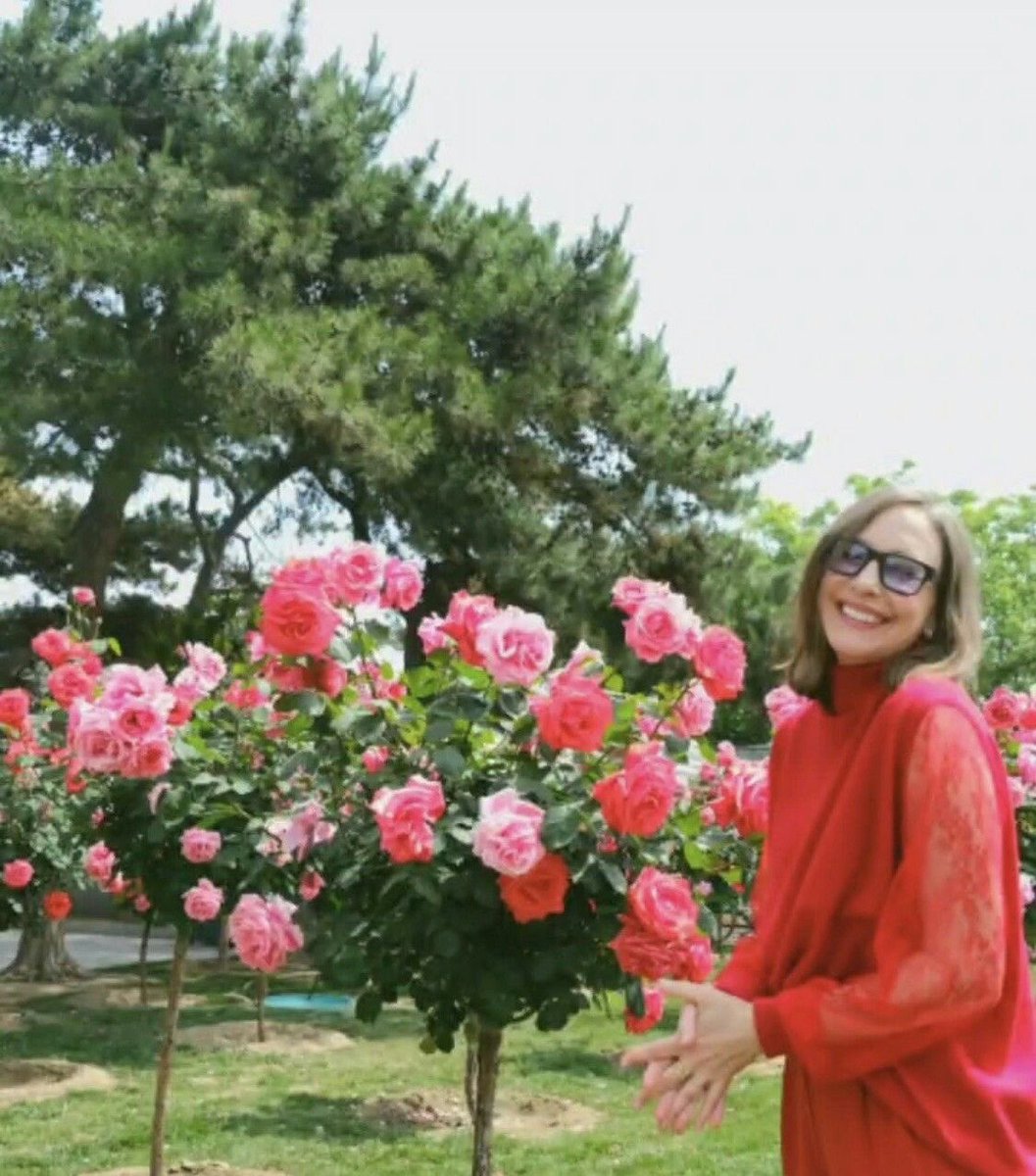 peppertcny's tweet photo. International Vera Farmiga day🧸🩷💌 https://t.co/uBX6JKYpWL