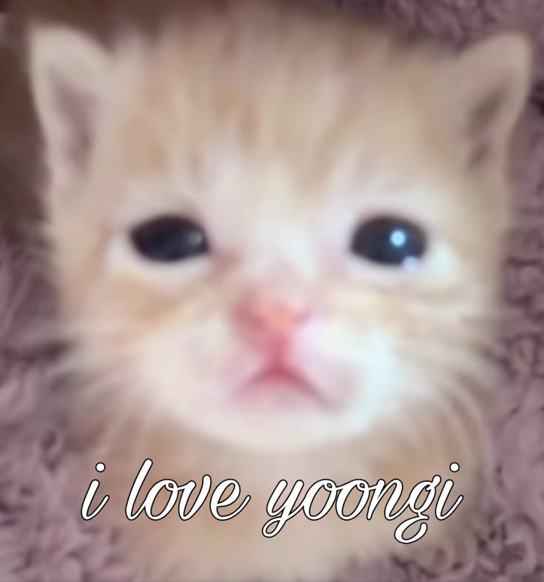 YOONGlYOONGI's tweet photo. https://t.co/NWt1B7INez