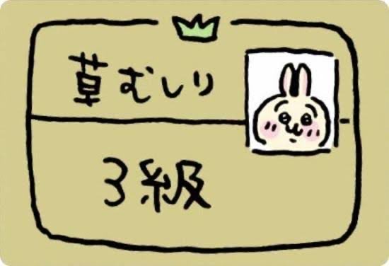 maomaimar's tweet photo. @ktoruans 🌱🌱🌱 https://t.co/ZgIrI45Wd0