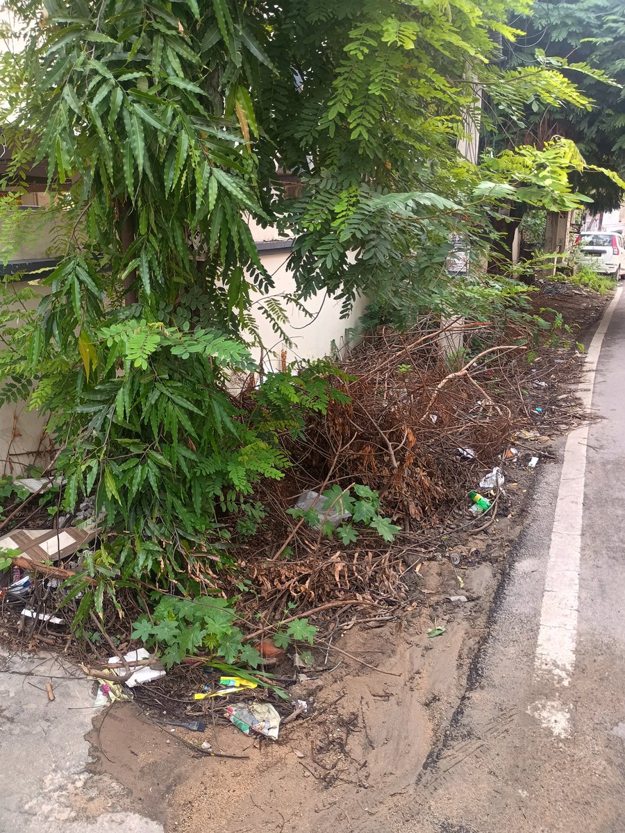 KDon_85's tweet photo. @tgspdcl @GHMCOnline It has been over a 2 months and tree branches are still lying at the entrance of our apartment, causing inconvenience and creating a health hazard post rains. Request you to take urgent action and clear the branches immediately. https://t.co/xssxBnGMo4